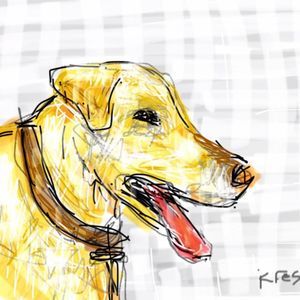 Meet your Posher, Becky